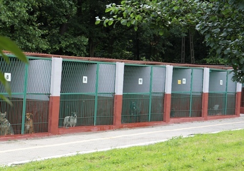 Odnowione boksy w schronisku dla zwierząt